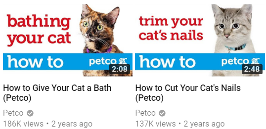 How to - Petco (cats)