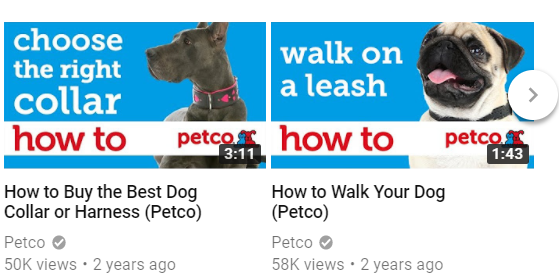 How to - Petco (dogs)