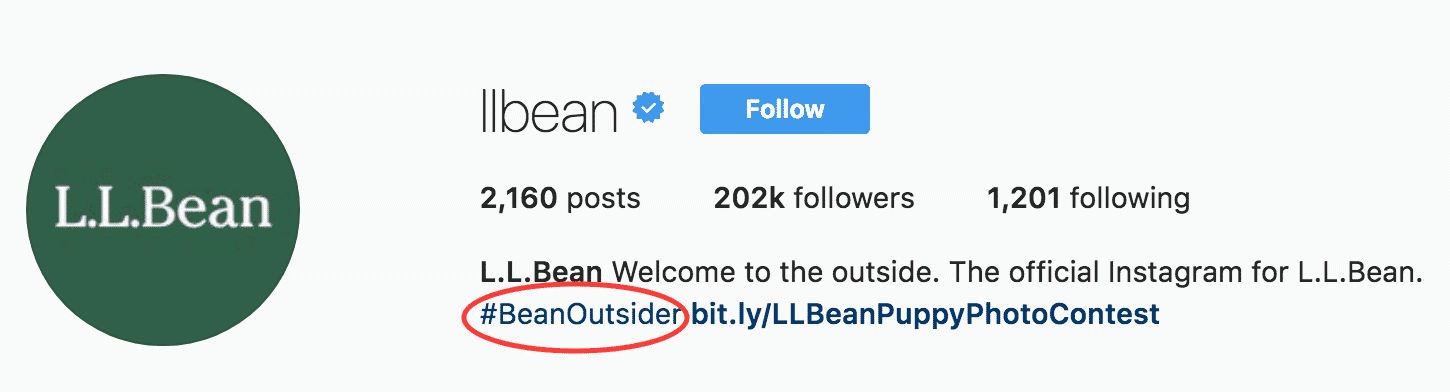 How to Write the Best Instagram Bios for Businesses ...